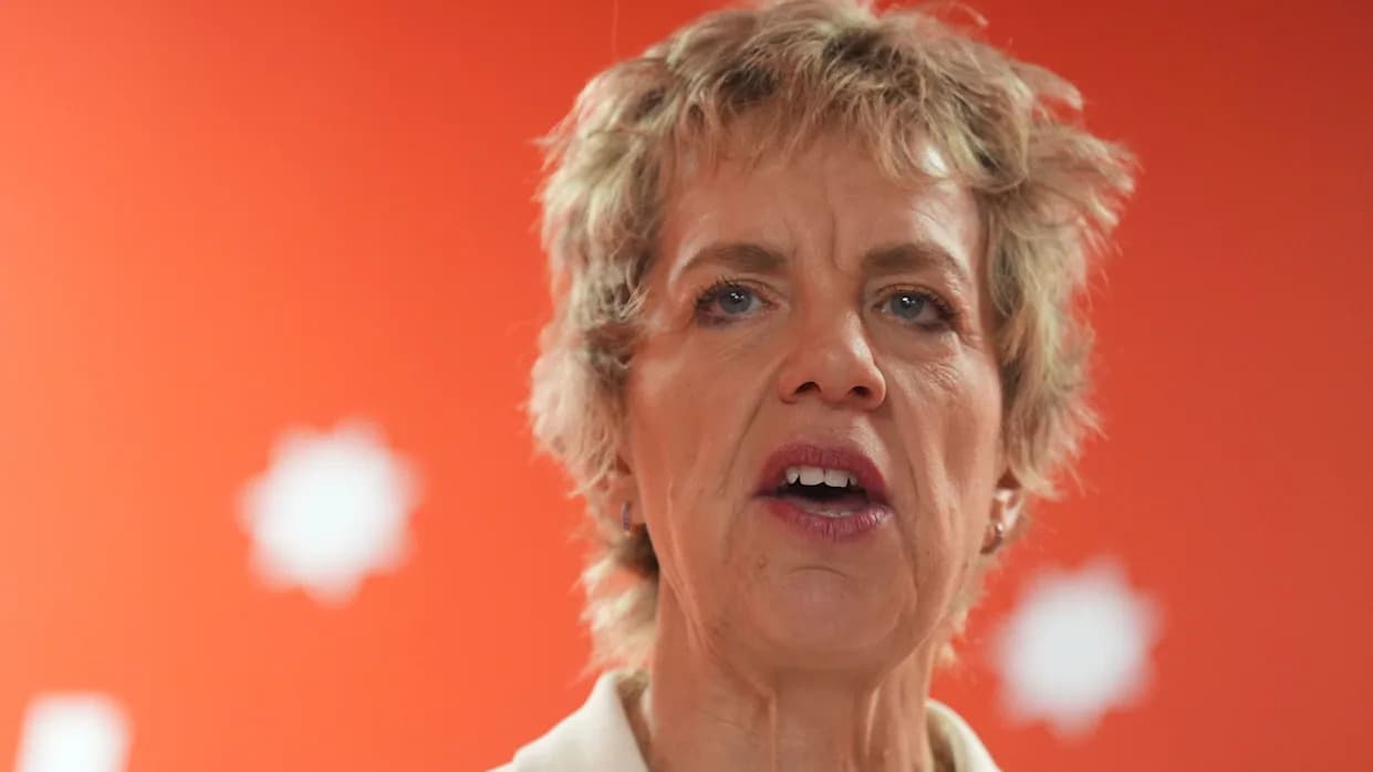 Bacik Calls for Firm Timeline on Northern Ireland 'Unity Referendum' and Clear Border Poll Rules