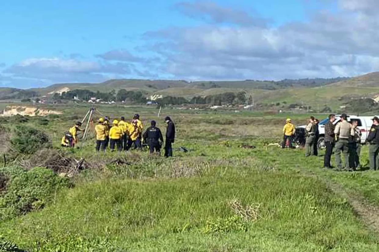 Body Recovered Near Davenport Beach Identified by Family as Missing Swimmer Erica Fox After Suspected Shark Sighting