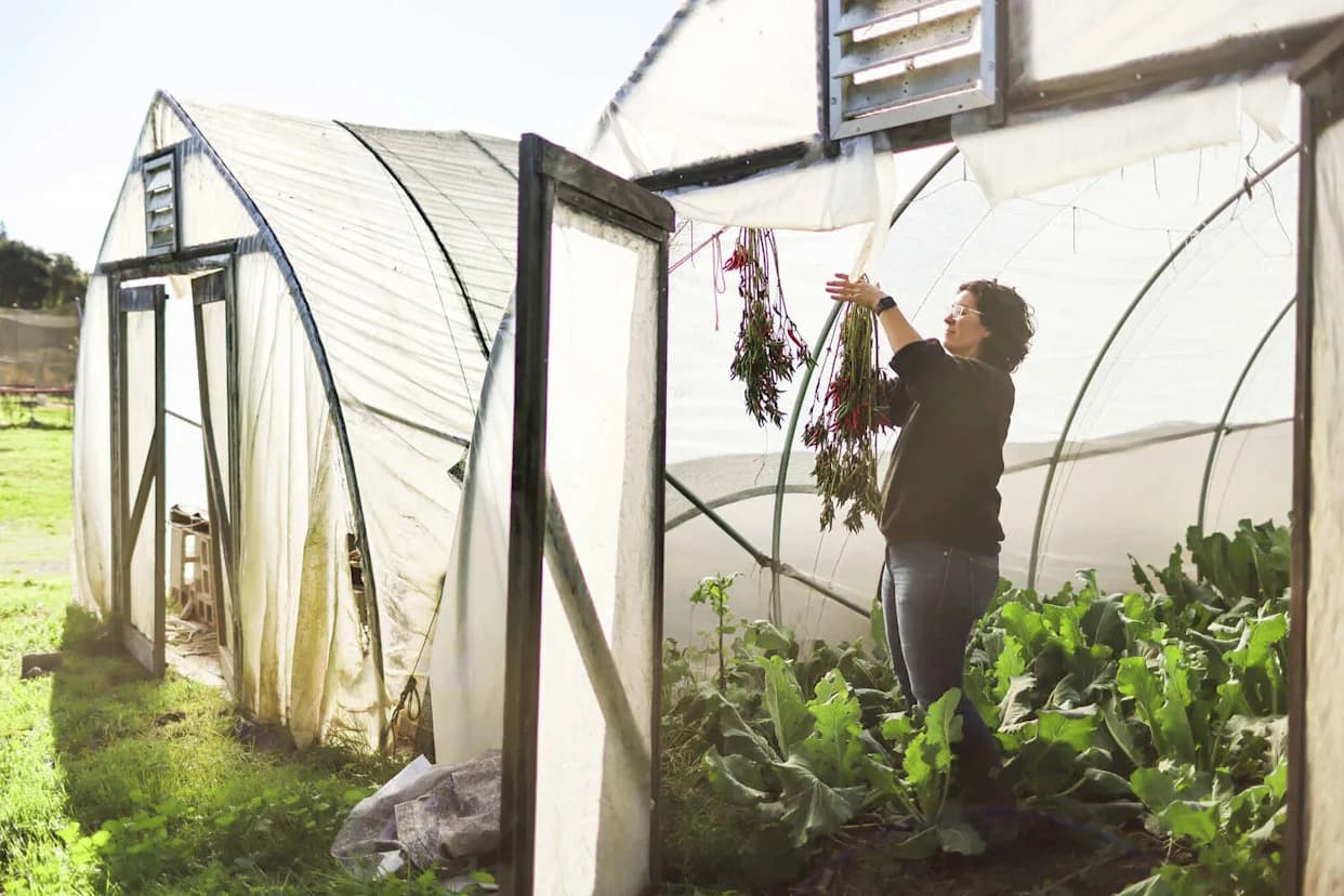 Seed Guardians: Bay Area Asian American Farmers Preserve Heirloom Seeds for Culture and Climate