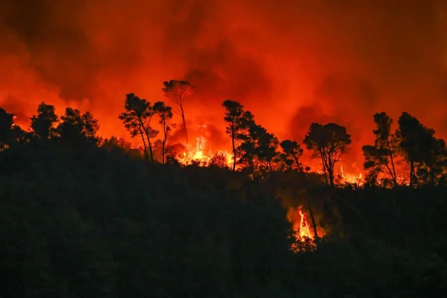 Study Finds Wildfire Smoke Emits 21% More Harmful Organic Gases Than Previously Estimated