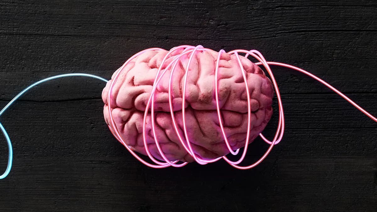 Lab-Grown “Mini-Brains” Reveal Hidden Neural Signatures of Schizophrenia and Bipolar Disorder