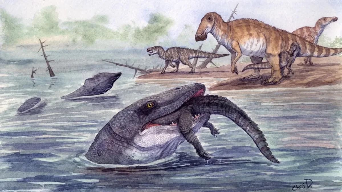 Fossil Teeth Reveal Giant Mosasaurs Lived in Rivers — And May Have Eaten Dinosaurs
