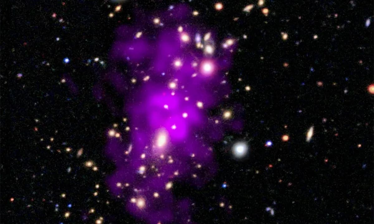 Ring In 2026 With the “Champagne Cluster” — A Sparkling Pair of Merging Galaxy Clusters