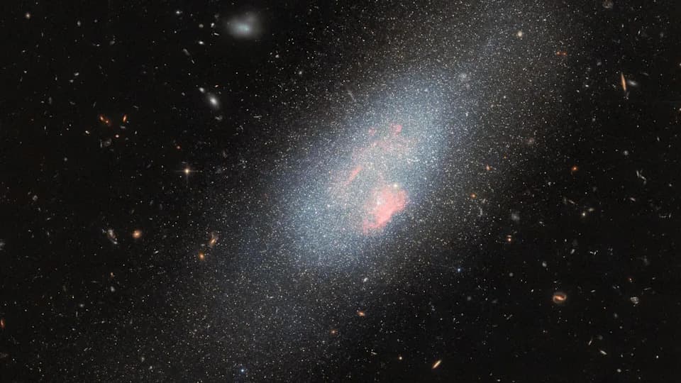 Hubble Reveals Markarian 178 — A Nearby Dwarf Ablaze With Massive Wolf–Rayet Stars