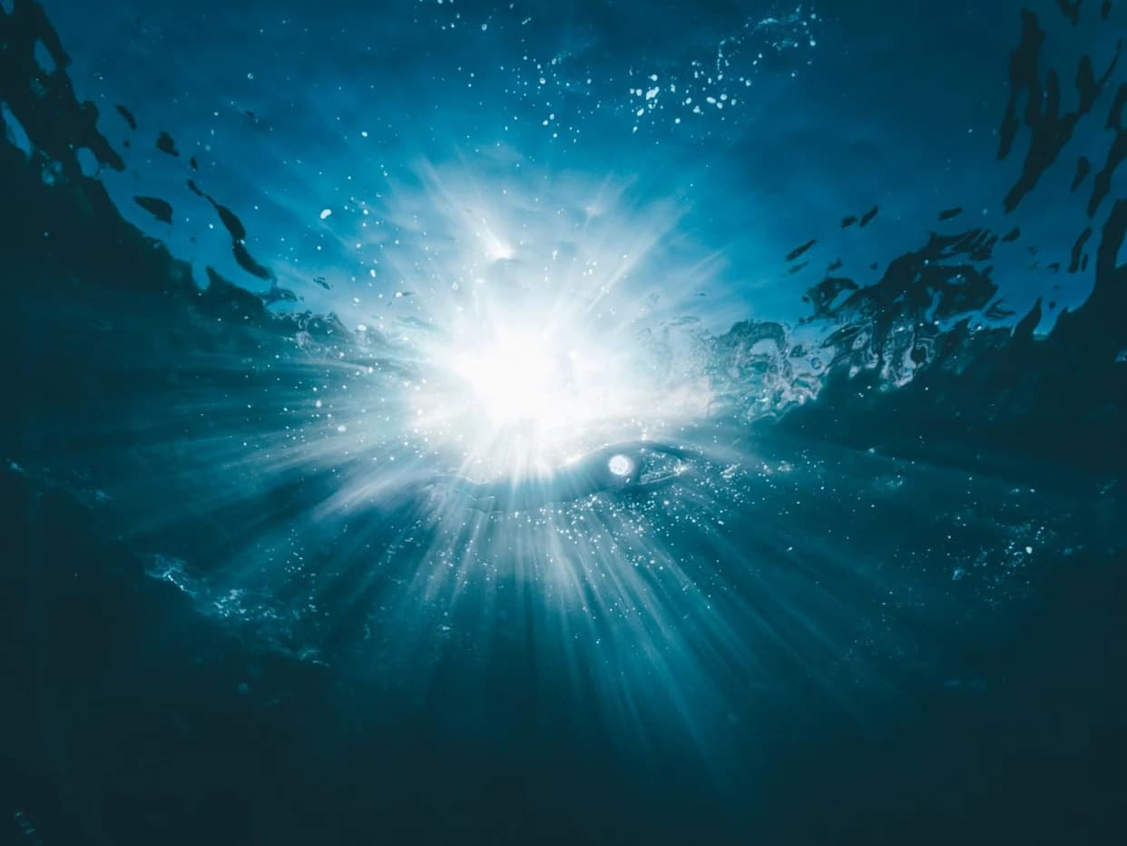 5,000-Year-Old Ritual Dog Burial Found in Swedish Lakebed — Accompanied by Polished Bone Dagger