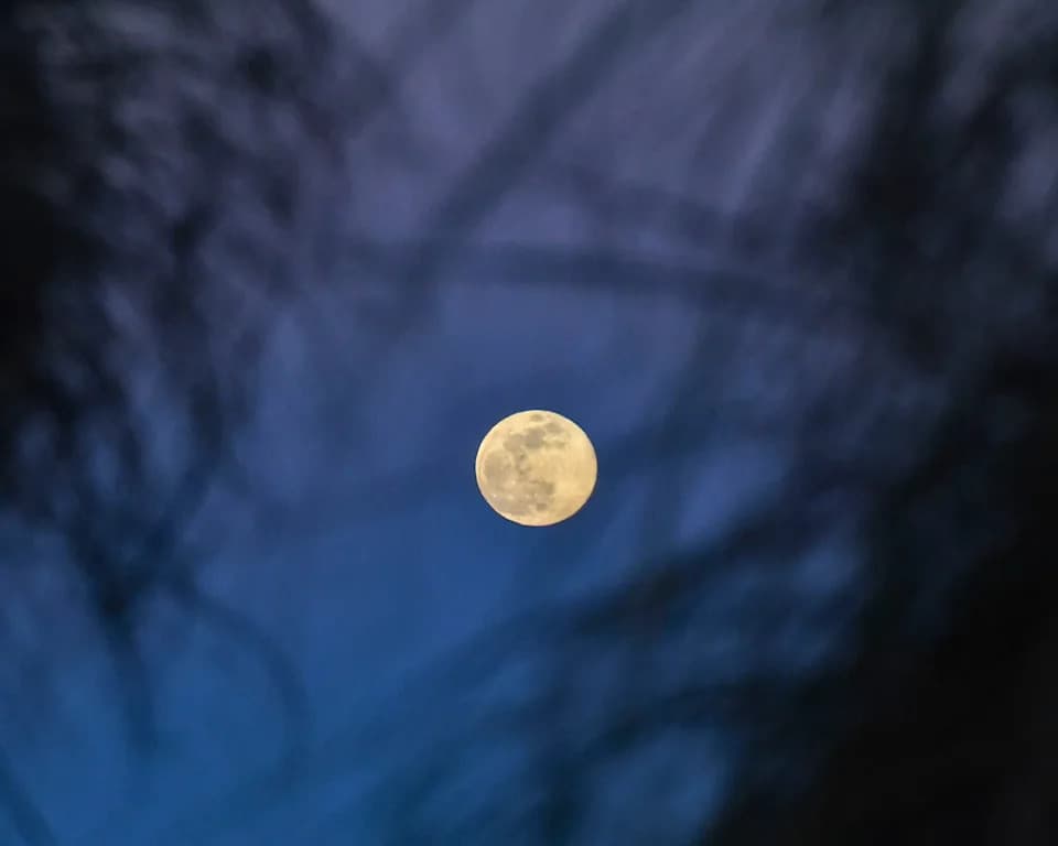 Full Moons of 2026 in Mississippi: Dates, Peak Times, Eclipses and the Stories Behind Their Names