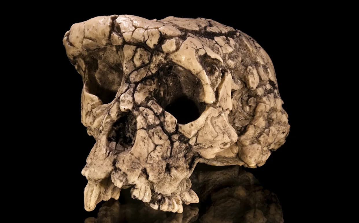 Seven-Million-Year-Old Ape May Be Earliest Bipedal Ancestor, Study Suggests