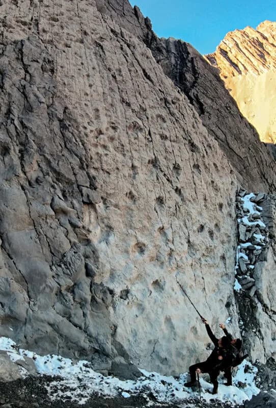 Massive Discovery: 20,000 Triassic Dinosaur Footprints on a Near-Vertical Alpine Cliff