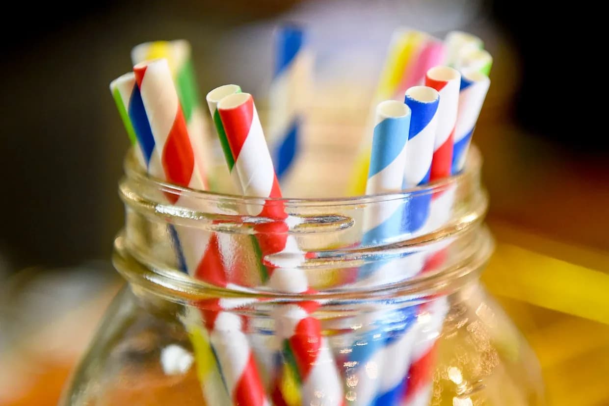 Florida Bill Would Limit Local Paper Straw Bans, Require State Certifications by 2027
