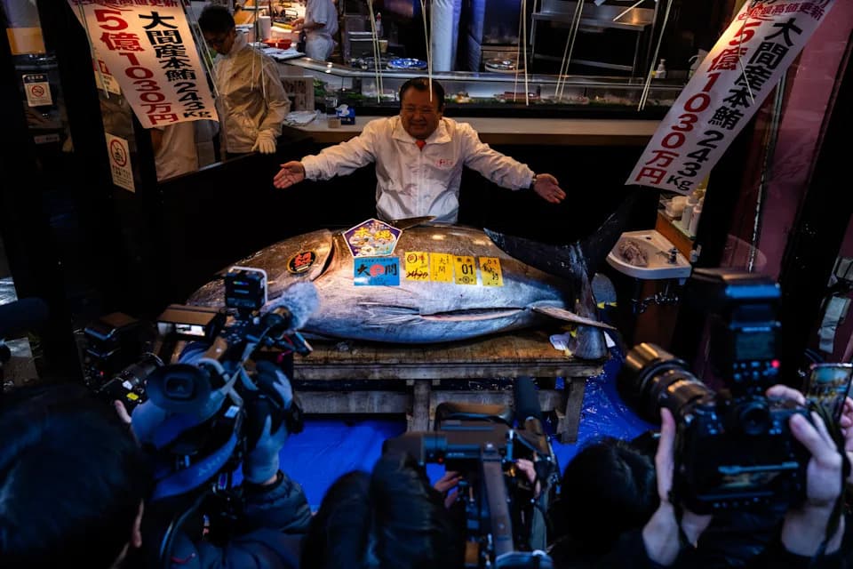 Record-Breaking 243-kg Bluefin Tuna Sells for 510 Million Yen ($3.2M) at Tokyo's First 2026 Auction