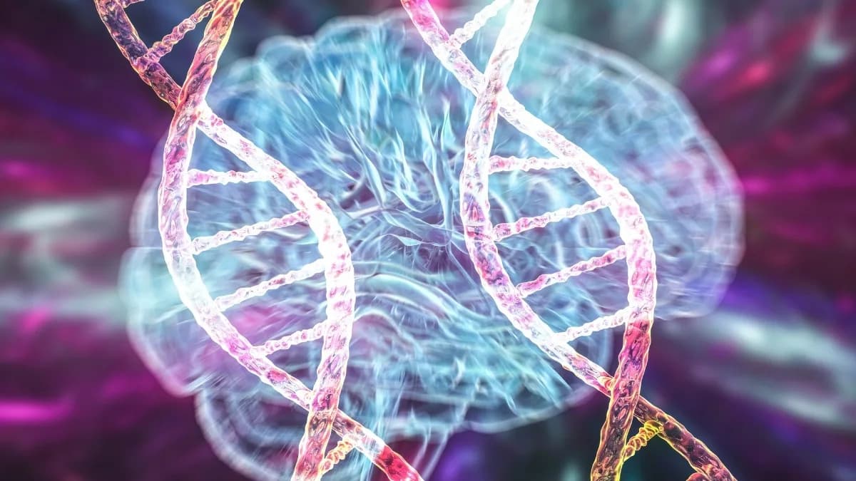 Junk DNA May Contain 'Switches' That Let Alzheimer's Take Hold — UNSW Identifies ~150 Astrocyte Enhancers