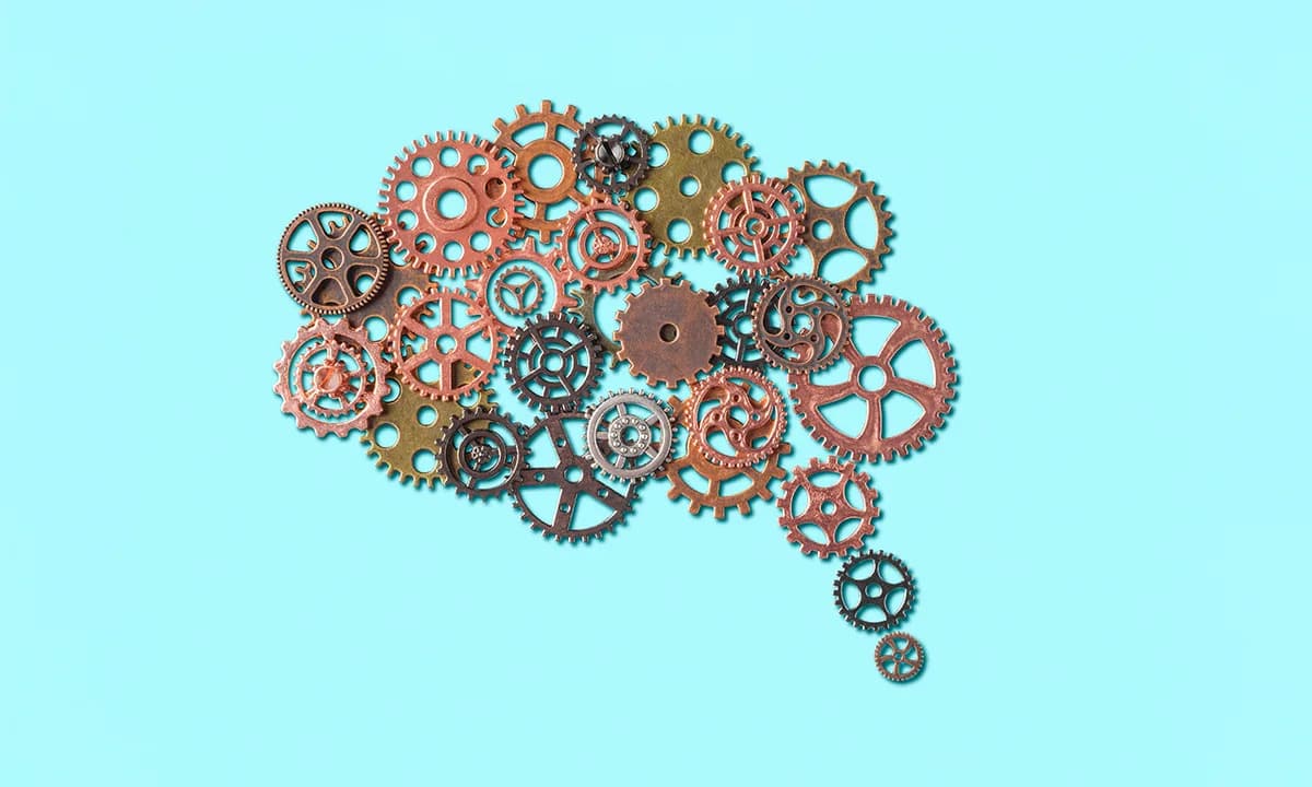 Why Some Brains Shift Mental Gears More Easily Than Others