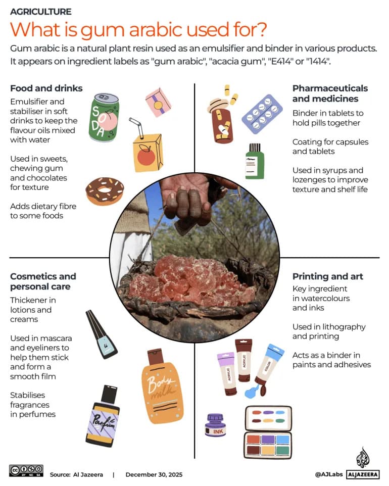 How Gum Arabic Is Fueling Sudan’s War: The Hidden Commodity Powering the RSF