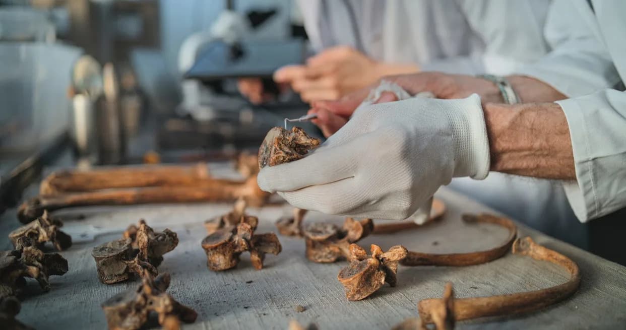 Ancient DNA Reveals Distinct Bronze Age Mountain Community in Calabria — Surprising Diet and Kinship Revealed