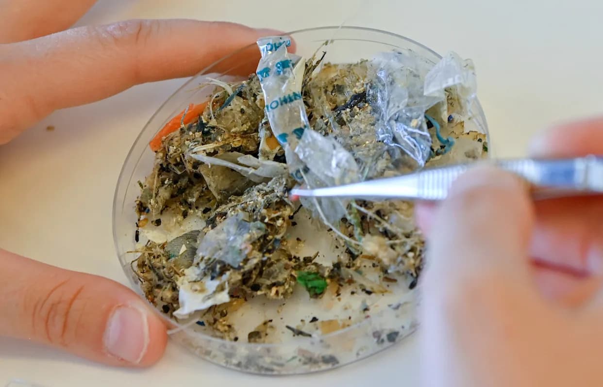 Microbubbles Help Break Down Plastics — Releasing Microplastics and Nanoplastics Into Water, Study Finds