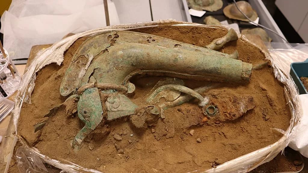 Rare Iron Age Carnyx and Hoard Unearthed in West Norfolk — Near‑Complete Battle Trumpet Found