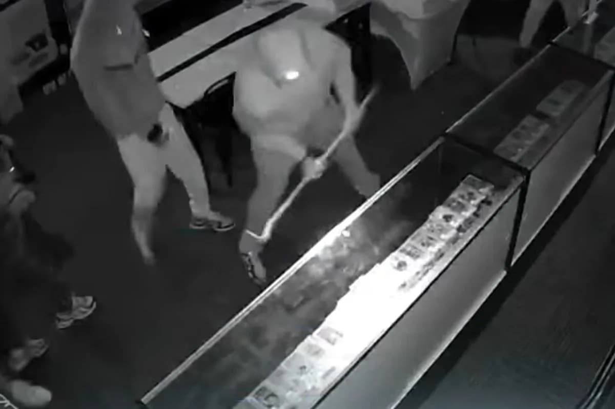 Collector Robbed at Gunpoint of $300,000 in Pokémon Cards as Surge of LA Thefts Targets Rare Cards