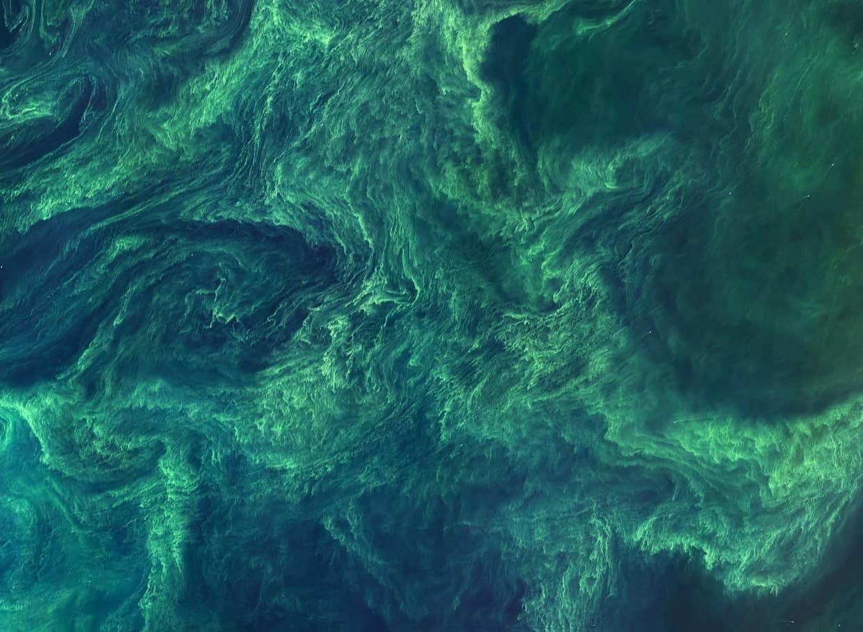 Seen From Space: Satellite Photos Reveal How Humans Are Reshaping Earth