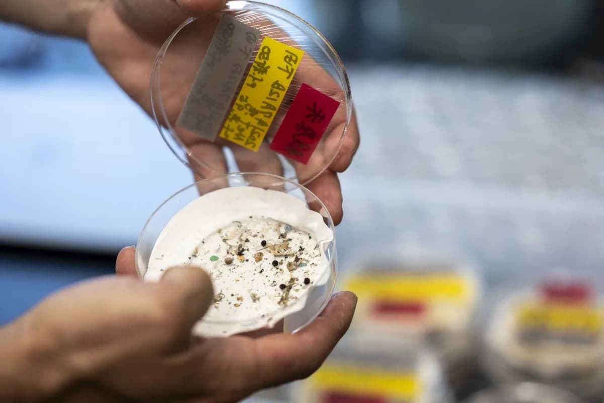 Hidden Clouds Of Micro‑ And Nanoplastics Hover Over Guangzhou And Xi’an — Tiny Particles Can Seed Clouds And Travel Far