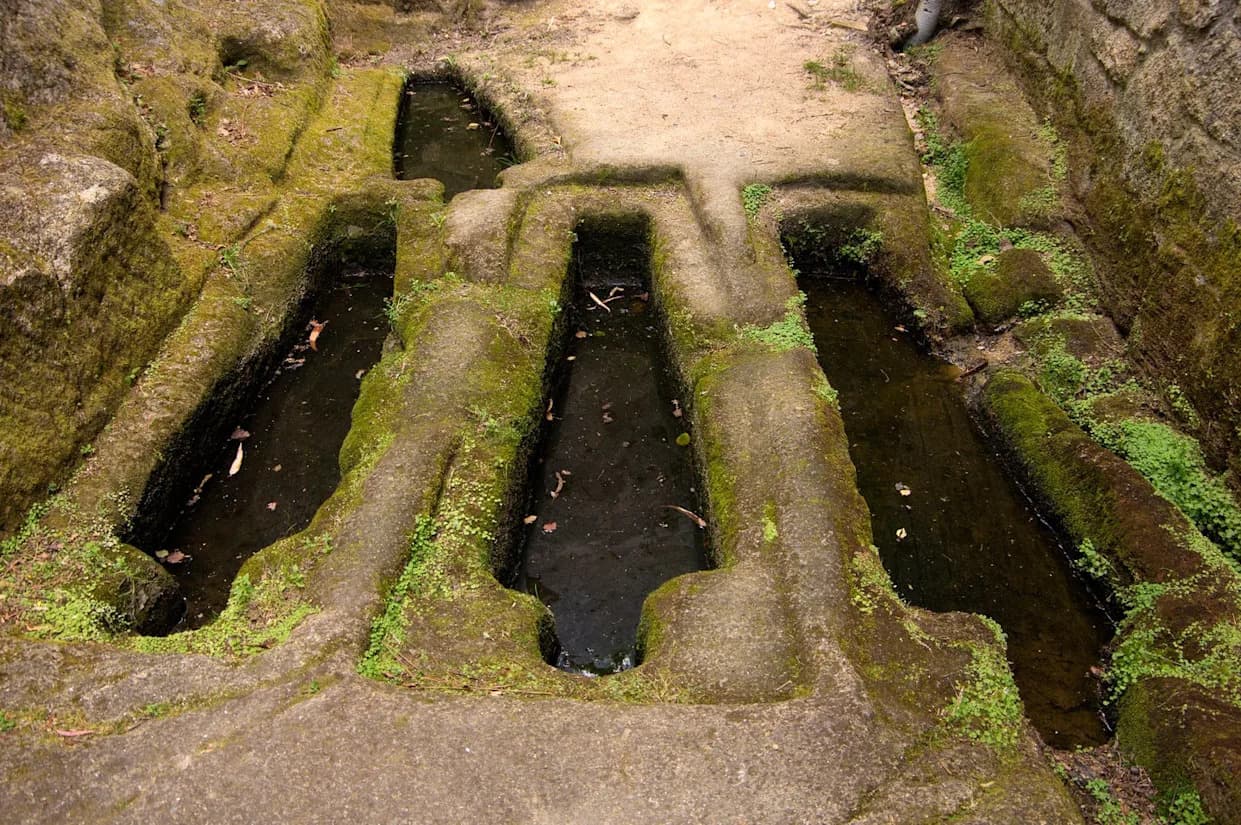 Volunteer Dig Reveals 1,100-Year-Old Graves of Three Likely Related Hungarian Warriors