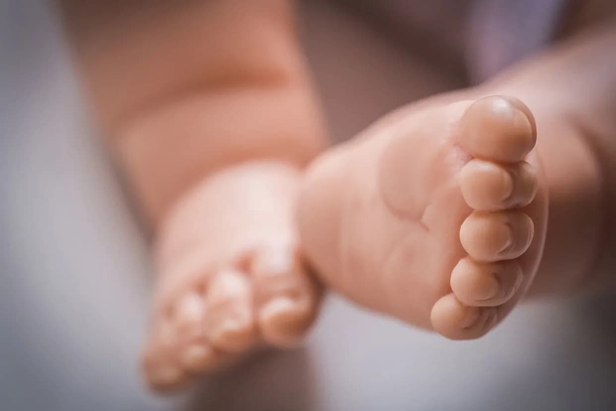 Newborn 'Elsa,' Found in a Shopping Bag on a Freezing Night, Cleared to Be Adopted