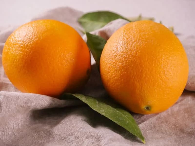 Why Losing Vitamin C Might Have Helped Ancestors Fight Parasites — New Mouse Study