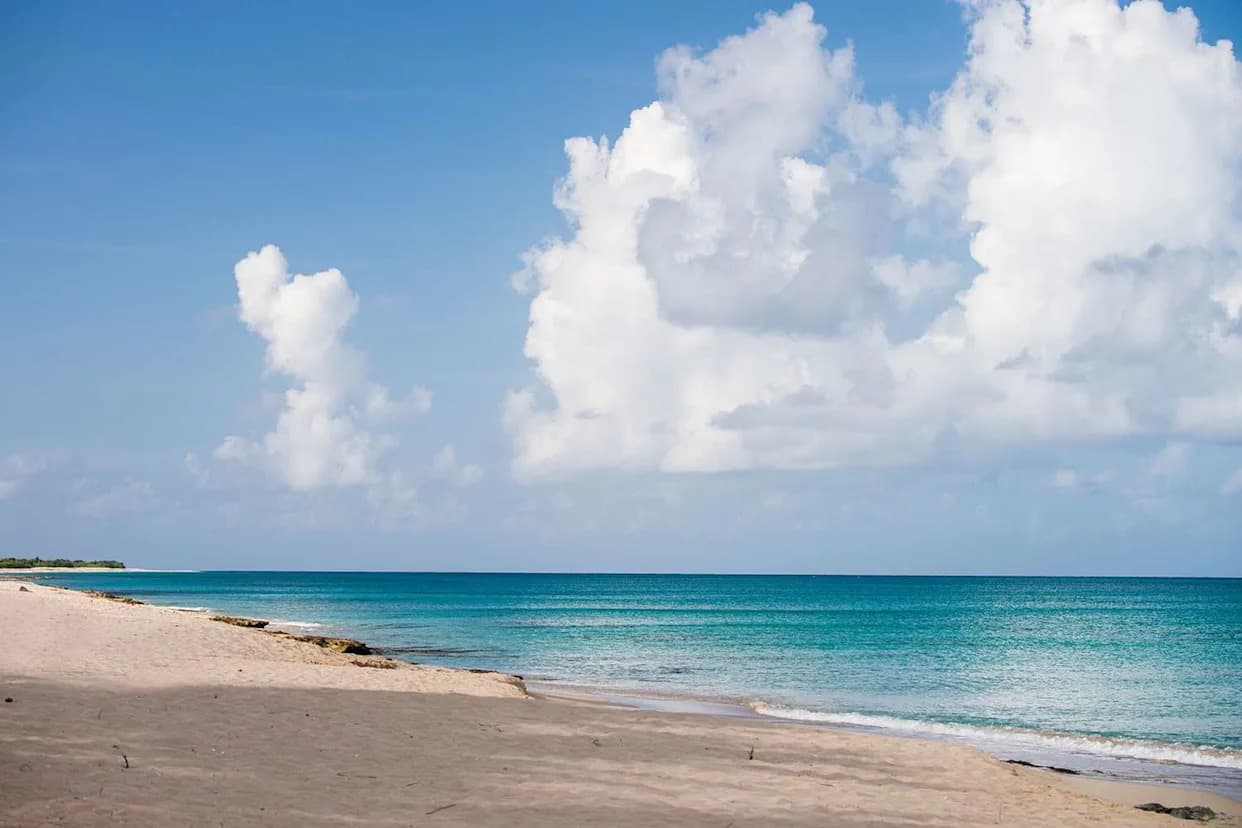 56-Year-Old Minnesota Woman Dies After Suspected Shark Attack Off St. Croix