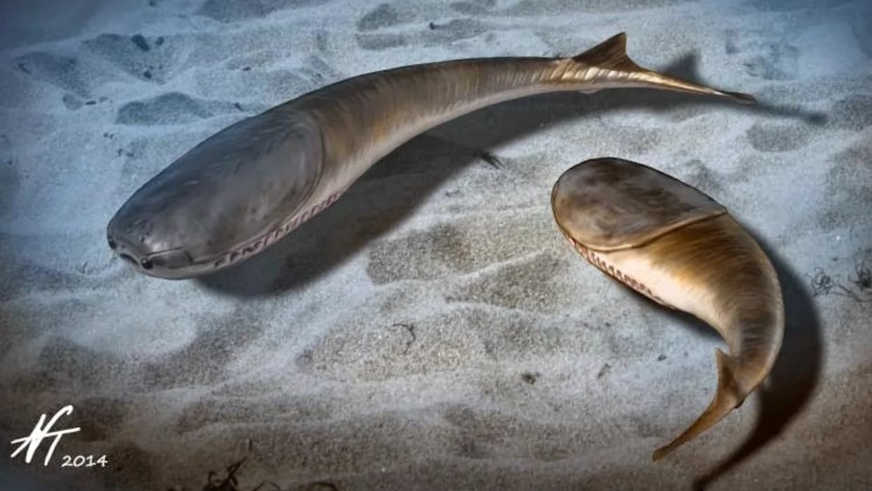 How a Mass Extinction Cleared the Way for Jawed Fishes and the Age of Vertebrates