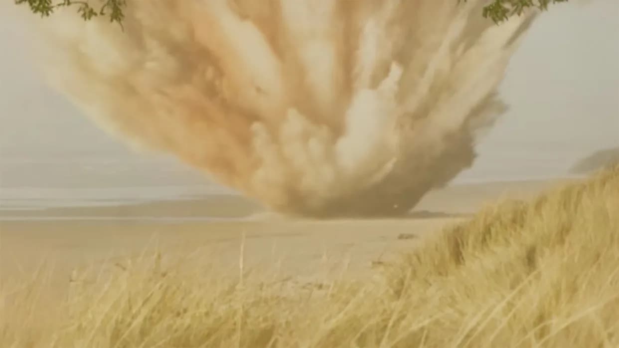 When Oregon Dynamited a Beached Whale: The Infamous 1970 "Exploding Whale"