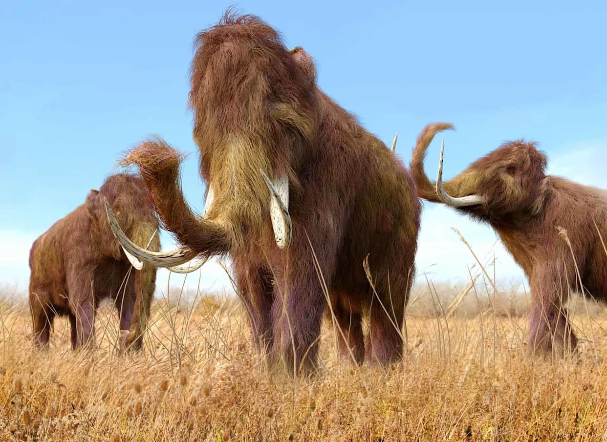 40,000-Year-Old RNA From Yuka the Mammoth Rewrites What We Know About Ancient Molecules