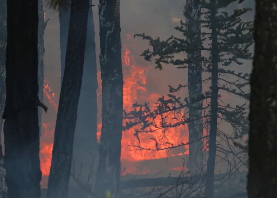 USU Study: Hot Days Could Drive Up To 60% More Wildfire Burn Area In Some Utah Forests By 2050