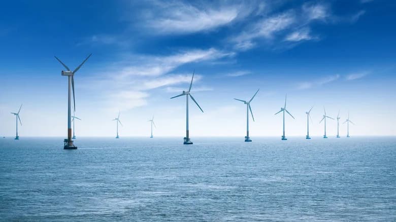 China's Offshore Wind Farms Are Boosting Marine Life — But Trade-offs Remain