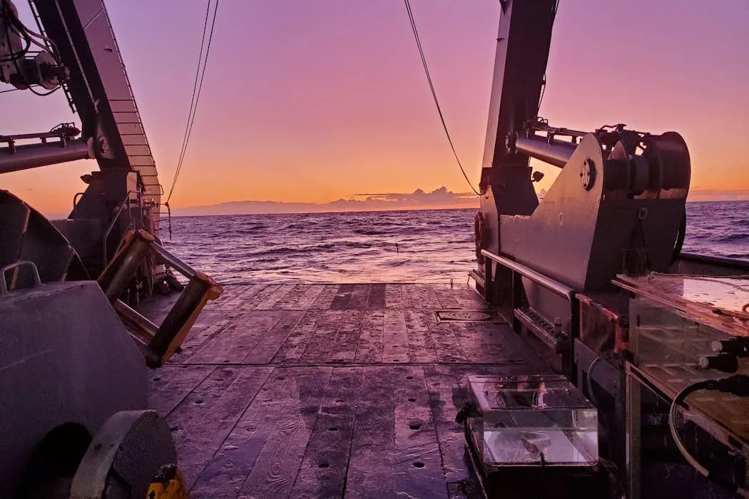 How Marine Viruses Power an Ocean Food Web: Field Evidence for the Viral Shunt