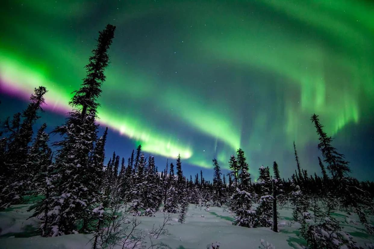 How to See Back-to-Back Northern Lights Tonight — What to Know for Jan. 13–14