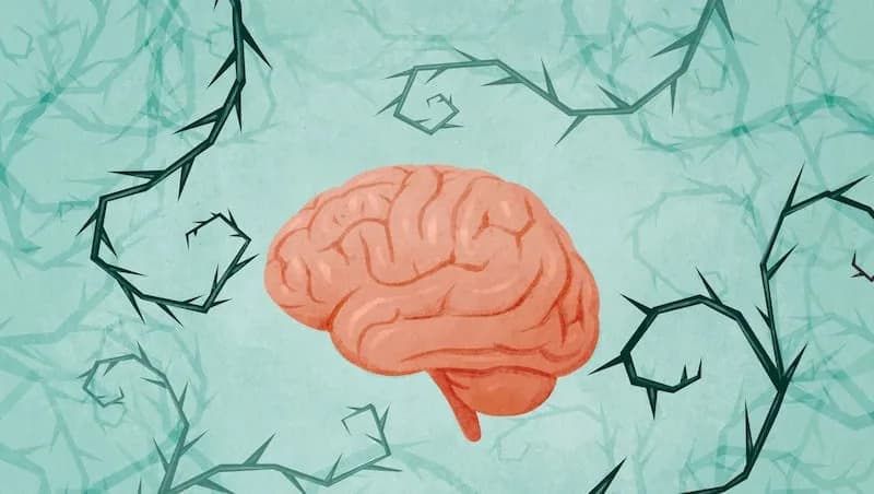 The Words That Wound: How Dehumanizing Language Rewires the Brain