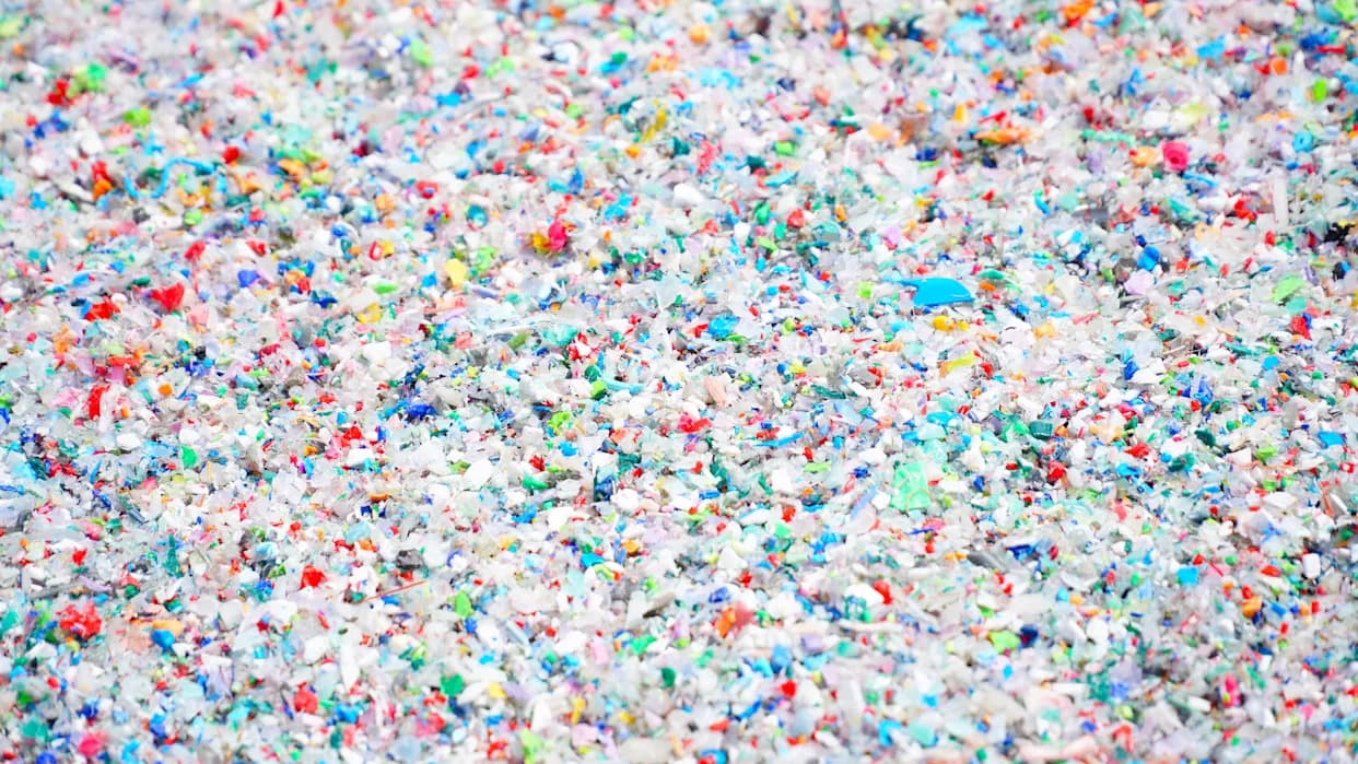 Microplastics in Human Organs: New Scrutiny Casts Doubt on High‑Profile Findings