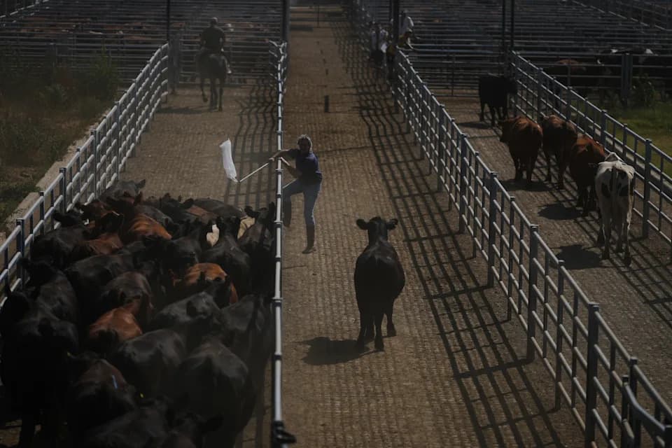 EU and Mercosur Set To Sign Landmark Trade Pact, Creating One Of The World's Largest Free-Trade Zones