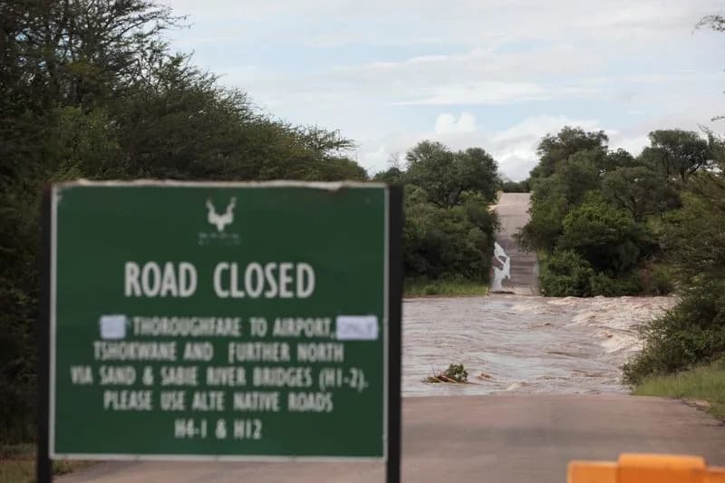 Kruger National Park Closed to Day Visitors After Severe Flooding — Hippos Seen Among Submerged Trees