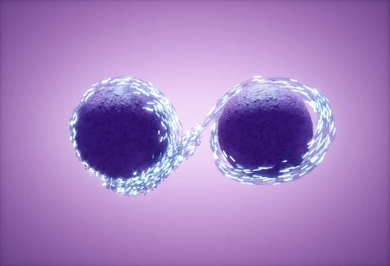 Evidence Suggests Dark Matter and Neutrinos May Interact — A Potential Shift in Cosmology