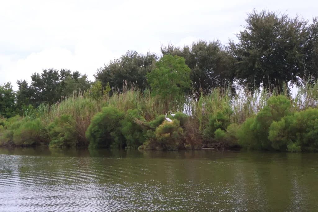 River Deltas Are Vanishing — The Land Is Sinking Faster Than Many Realize