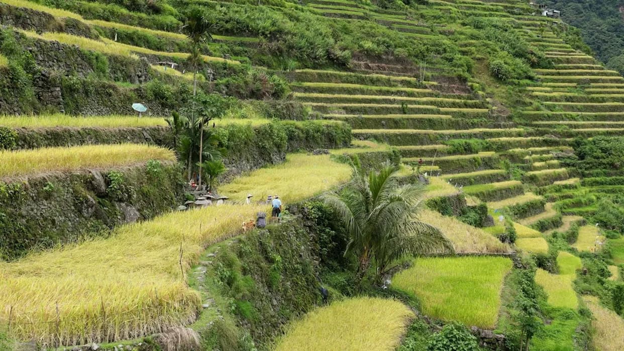 How Mountain Terraces Help Indigenous Communities Live With Climate Uncertainty