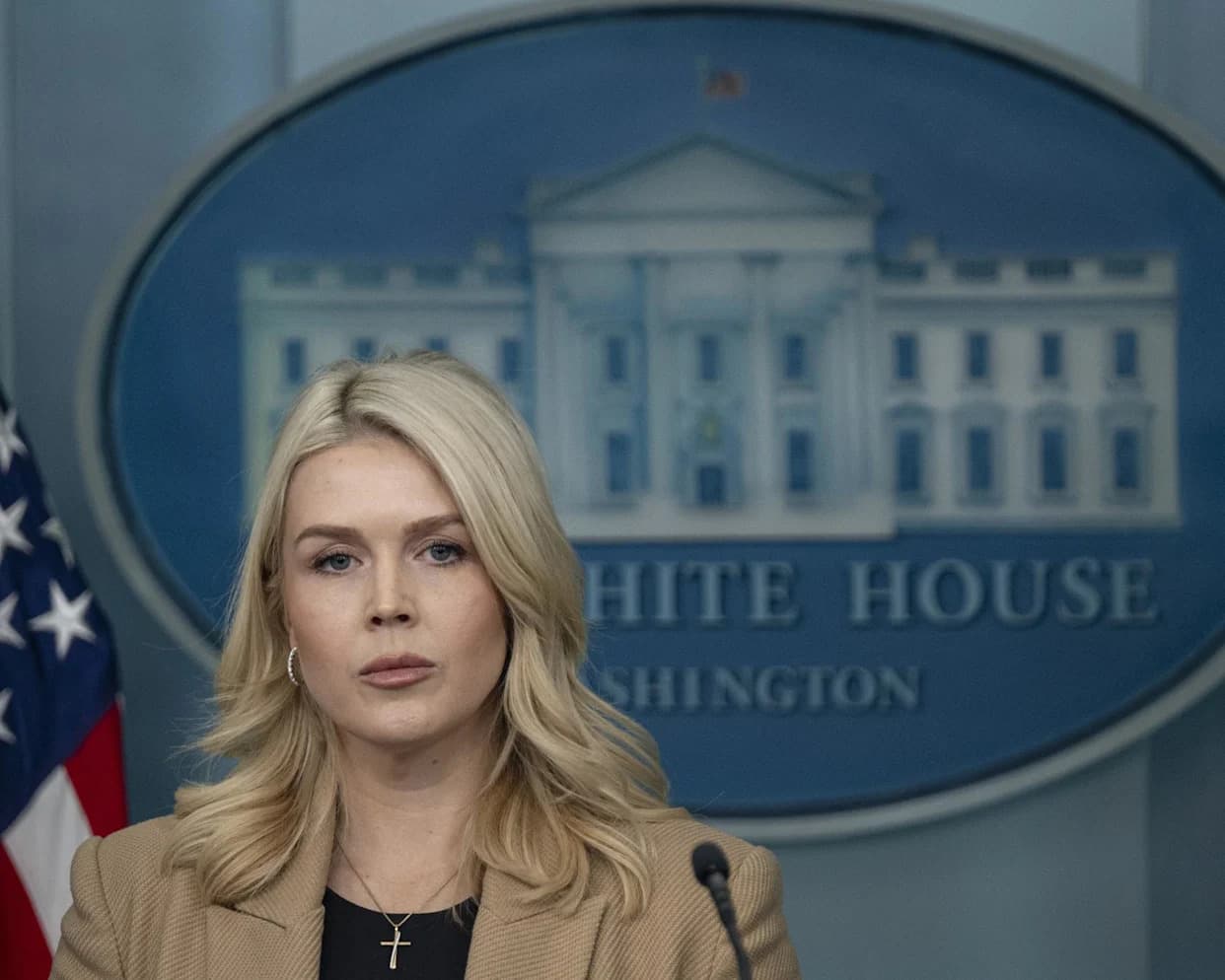 Leavitt Calls Reporter a 'Leftwing Activist' in Heated White House Exchange Over ICE Shooting