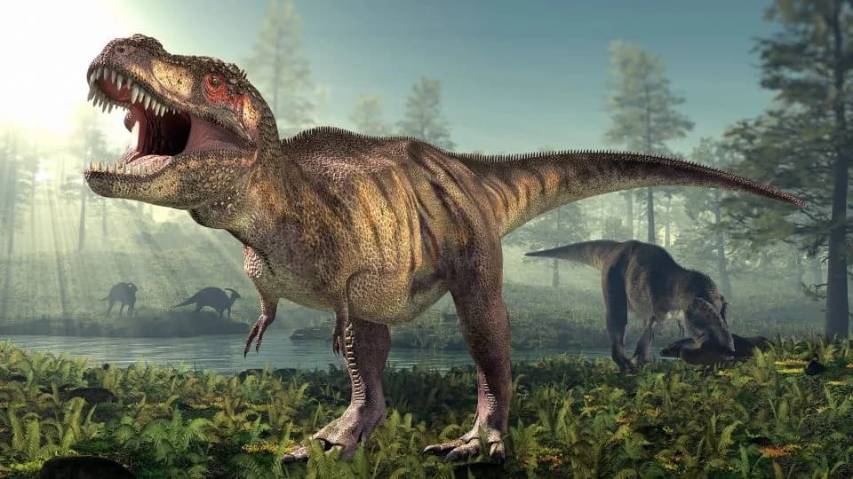Revised Fossil Analysis Shows T. rex Took Decades Longer To Reach Full Size