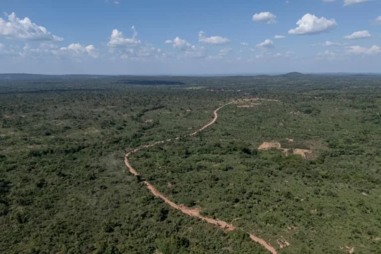 Protected Forests in DRC’s Cobalt Belt: Communities Fight Mining Pressure and Environmental Risk