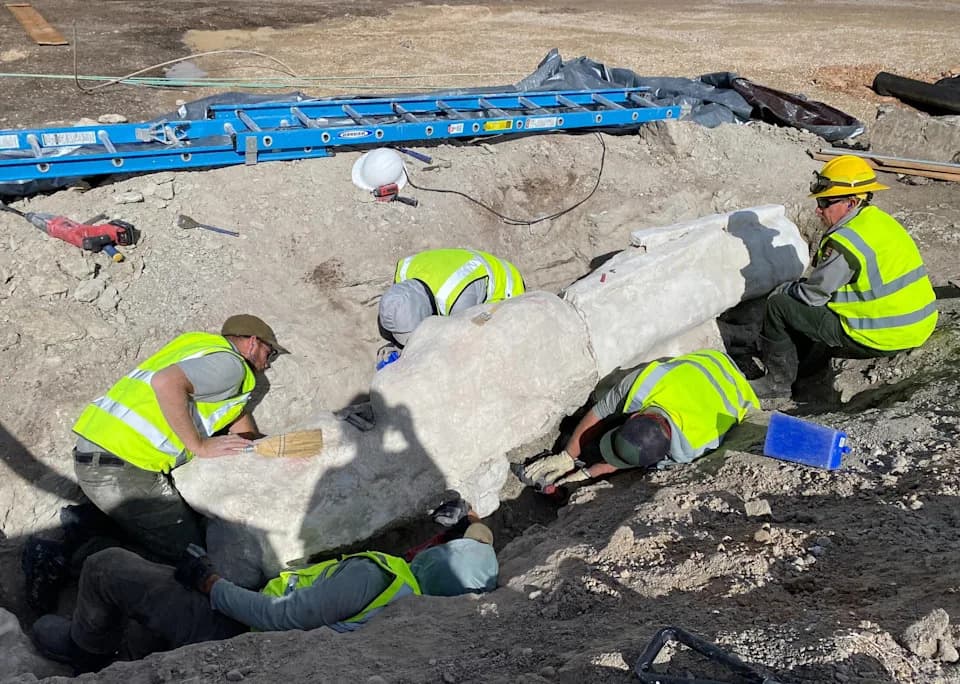 Parking Lot Work Uncovers Dinosaur Bones — First Excavation at Monument in Over 100 Years
