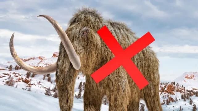 This Week in Science: Mammoth Mix-Up, Redhead Advantages, Early ISS Return, and More