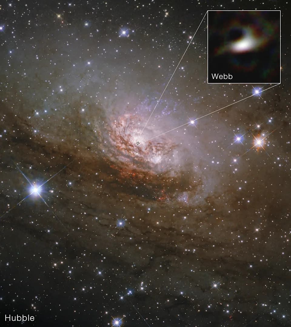 Webb Reveals Source of Infrared Light Around Nearby Supermassive Black Hole