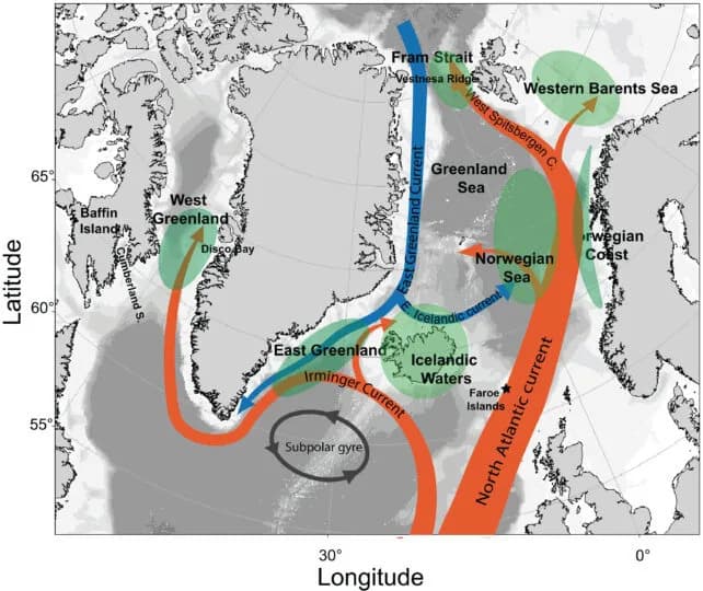 How a Single 2003 Marine Heat Wave Continues to Reshape the North Atlantic