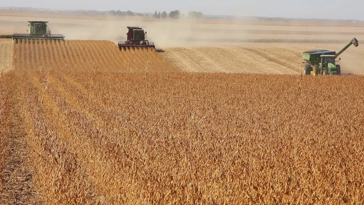 Iowa Farmers Deliver Record 2025 Corn Crop Despite Derecho, Disease and Economic Pressure