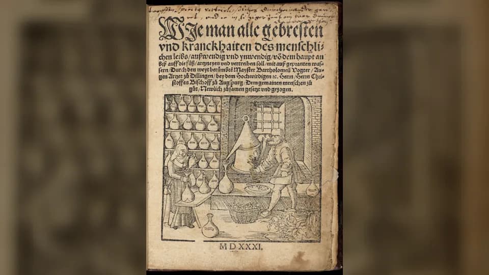 Molecules on the Margins: Proteomics Reveals Lizard Parts, Human Feces and Other Remedies in a 1531 Medical Manual